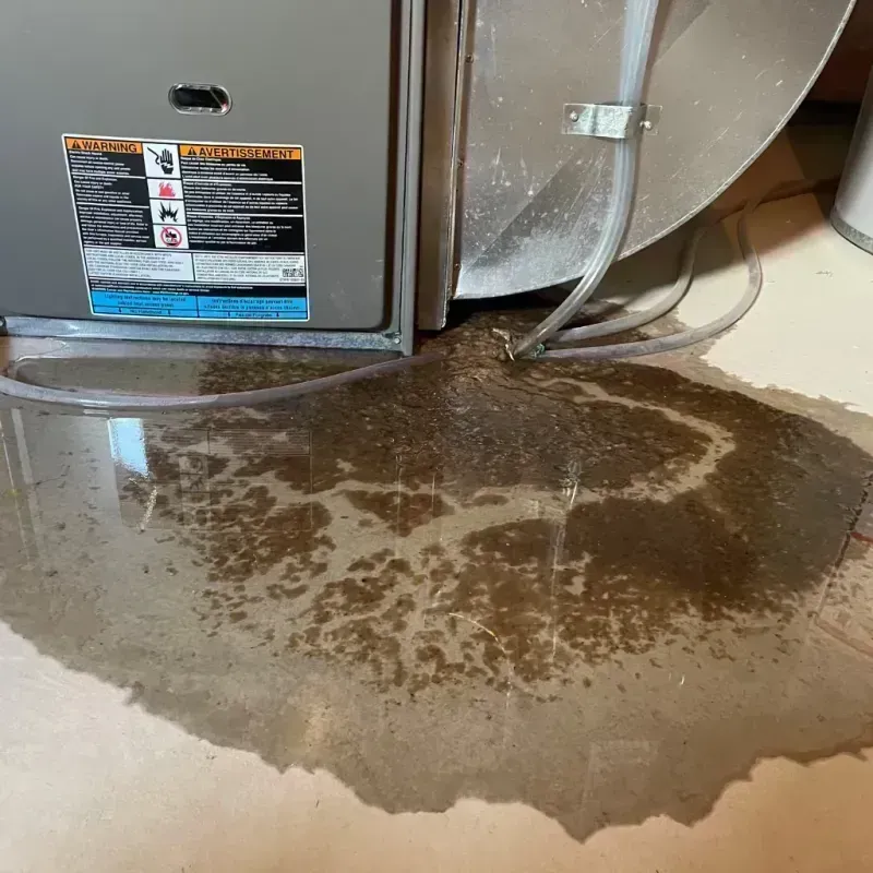 Appliance Leak Cleanup in Scott County, KY